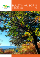 BULLETIN MUNICIPAL 2025